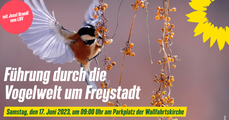 Naturschätze vor der Haustür: Führung durch die Vogelwelt um Freystadt